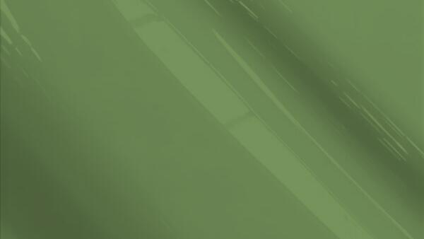 Wilderness Green Poly