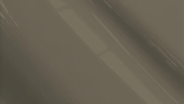 Storm Gray (cladding)