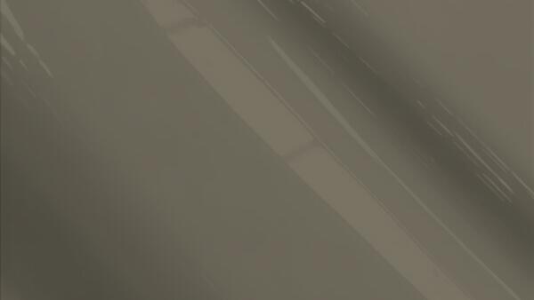 Carbon Gray Metallic