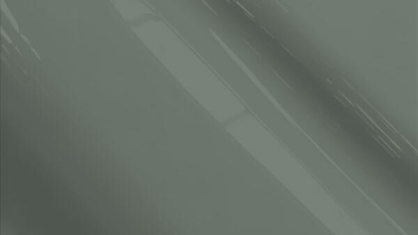 Phantom Gray Poly