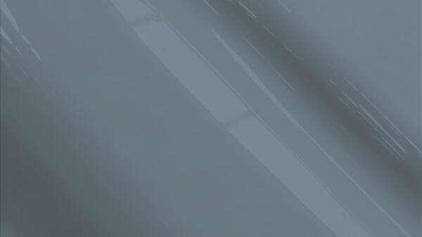 Pale Gray