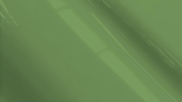 Medium Sage Metallic