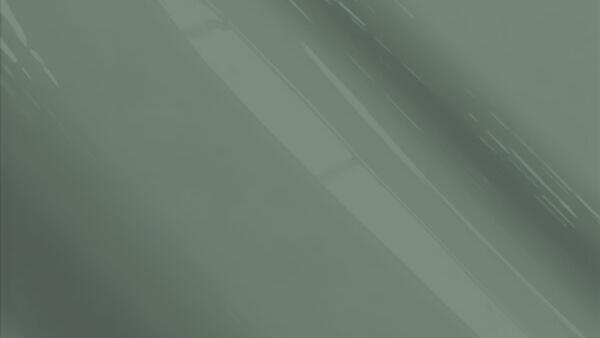Pearl Gray Metallic