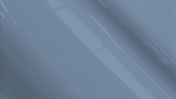 Dolphin Gray