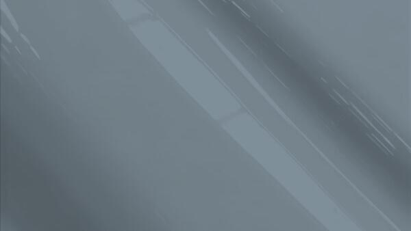 Embassy Gray Metallic