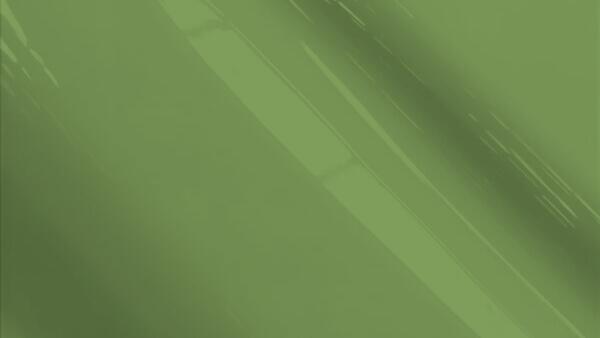 Pepper Green Irid