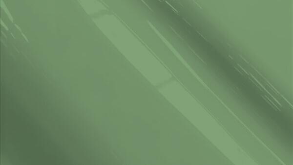 Stone Pine Green Metallic
