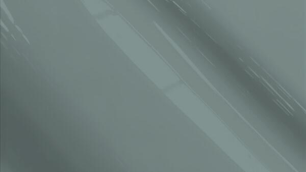 Mild Gray  Pearl