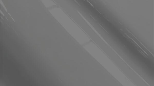 Medium Platinum Metallic