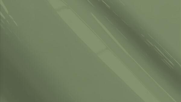 Loden Green Metallic