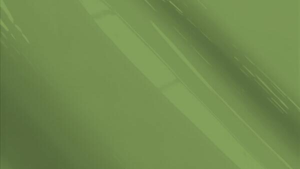 Kiwi Green Metallic