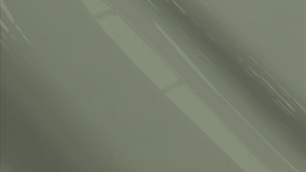 Meteor Gray Metallic