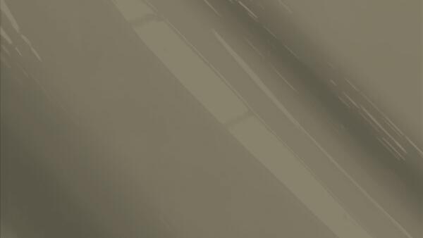 Graphite Gray
