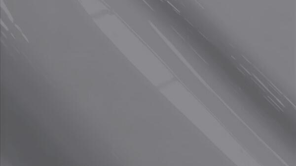 Warm Gray Metallic