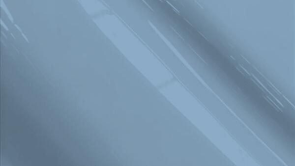 Steel Gray Metallic