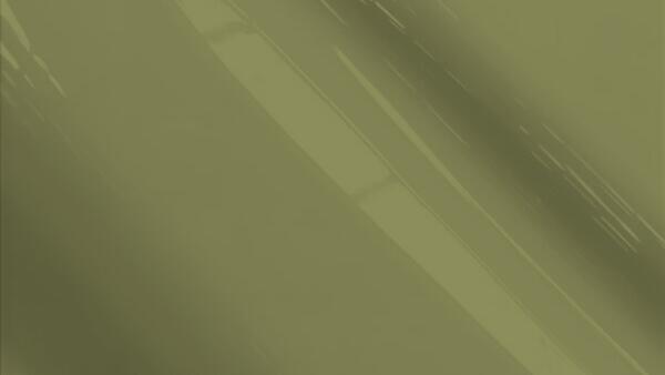 Medium Lime Metallic