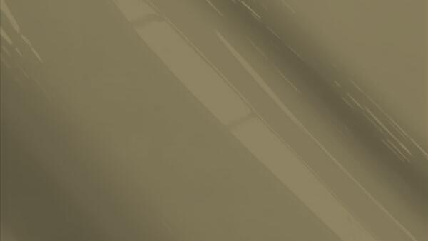 Dark Prairie Tan (Interior)