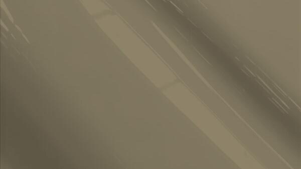 Dark Taupe Metallic  (Cladding)