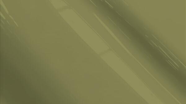 Olive Metallic