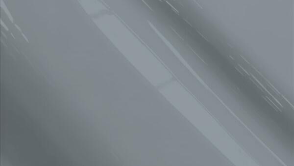 Frost Gray Poly