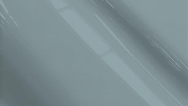 Seal Gray Metallic