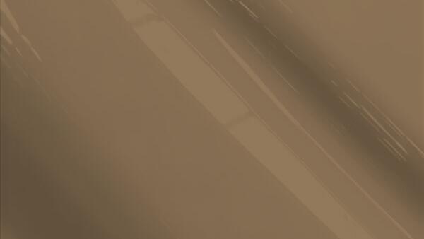 San Jose Brown  Metallic