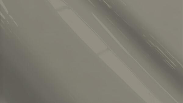 Silver Beige Poly