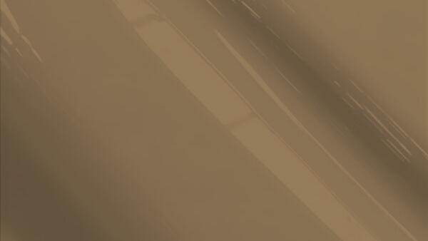 Very Dark Chestnut F/M Metallic