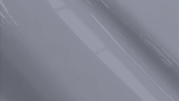 Medium Gray Metallic