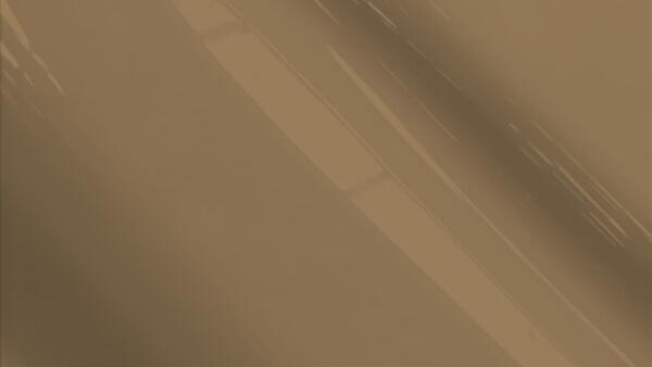Taupe Metallic (Taurus Bumper)