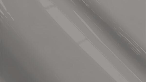 Oyster Gray Metallic