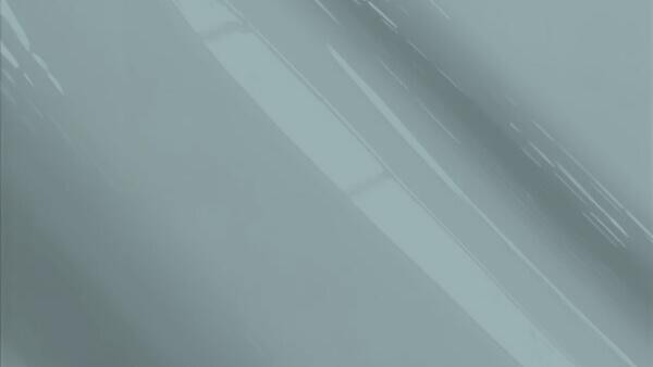 Light Gray Poly