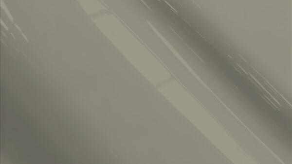 Fashion Gray