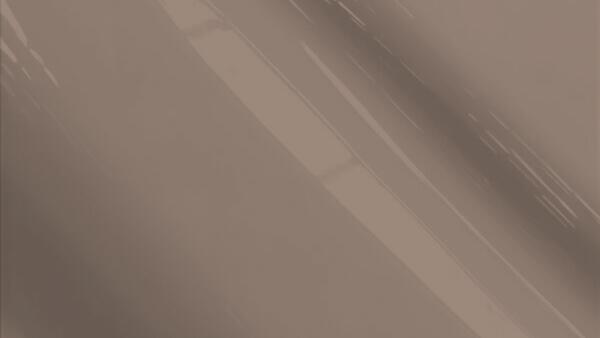 Medium Brown Metallic