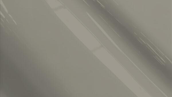 Midnight Silver Metallic  (wheel)