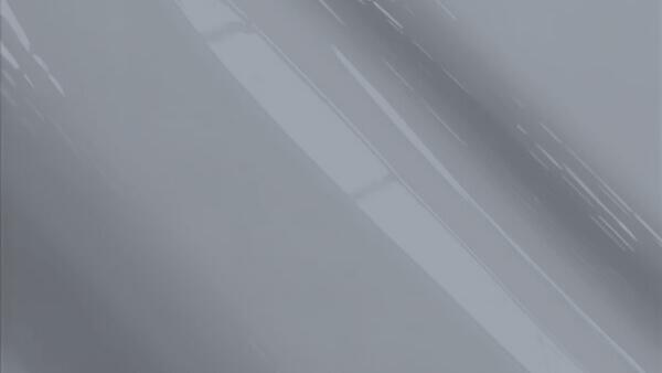 Smoke Gray Metallic