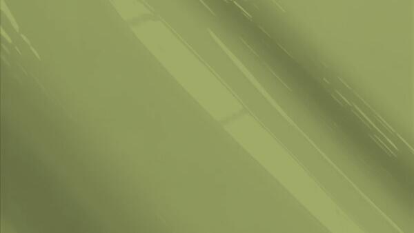 Tarragan Green Metallic