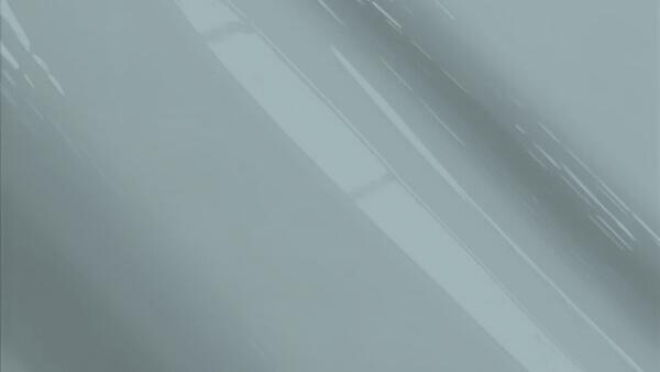 Gray Metallic