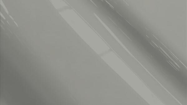 Fashion Grey