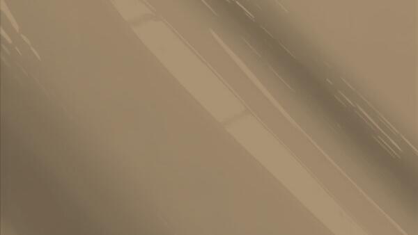 Champagne Gold Metallic