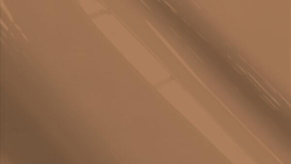 Clove Brown Poly