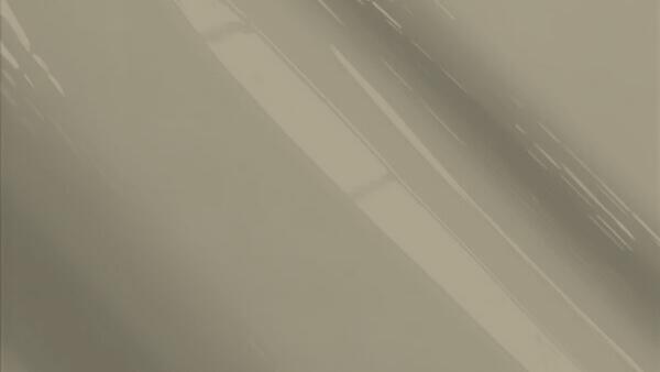 Satin Carbon Pearl  (Wheel)