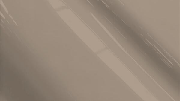 Terra Brown Metallic