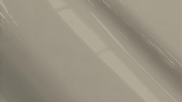 Light Pewter Poly