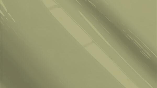 Santa Fe Brown Pearl  (2-tone only)