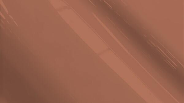 Arizona Beige Metallic