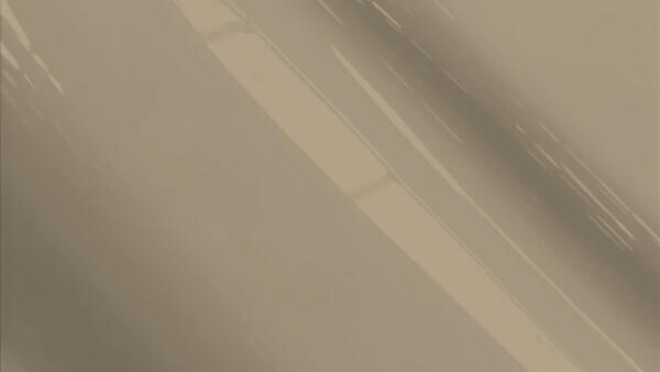 Light Gray (Interior)