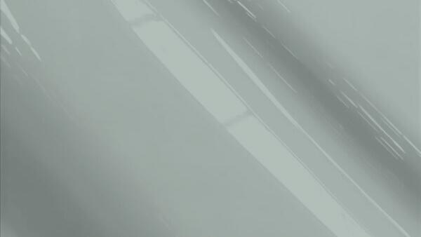Pewter Pearl Metallic