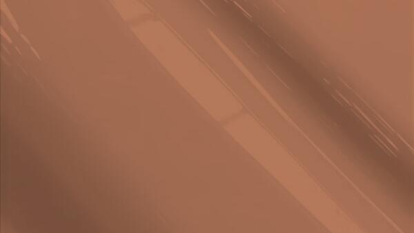 Medium Dark Nutmeg Metallic