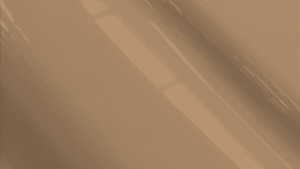 Brown Metallic